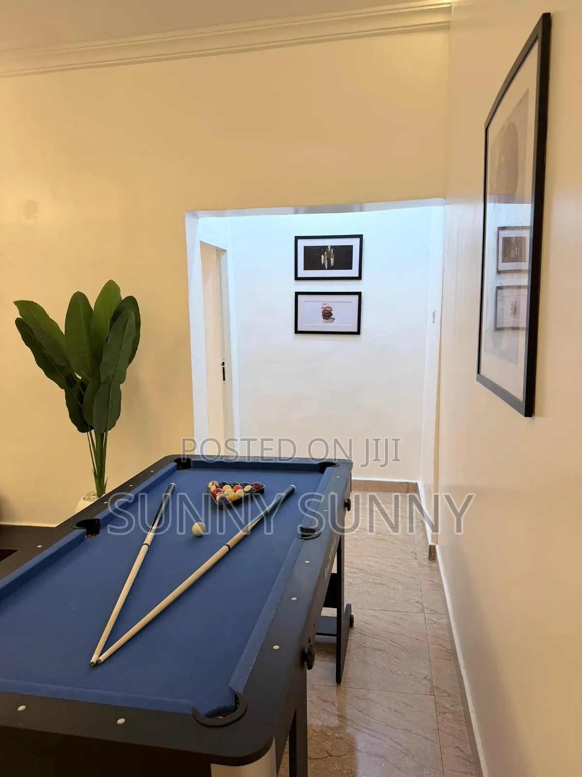 Entire 1 Bedroom Apt With Snooker in Wuye