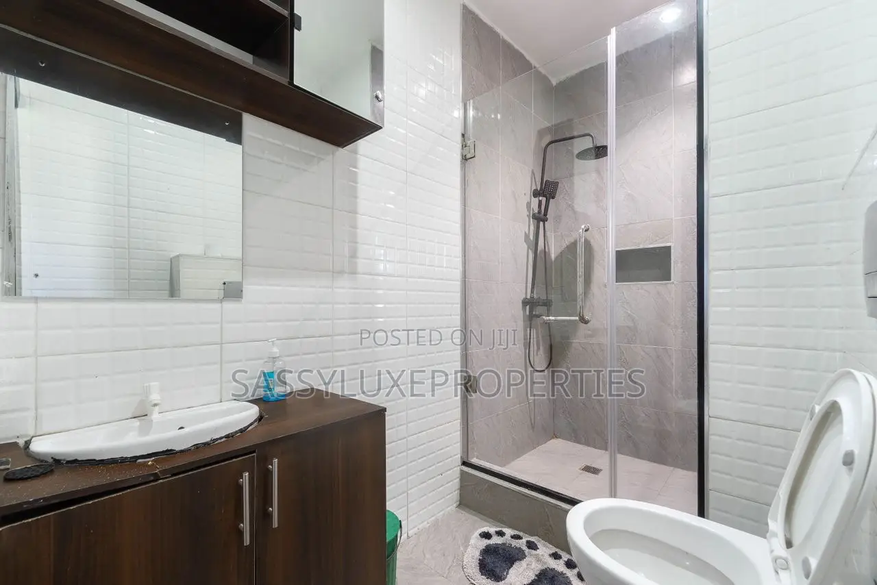Newly Two Bedroom Apartment in Lekki Phase 1