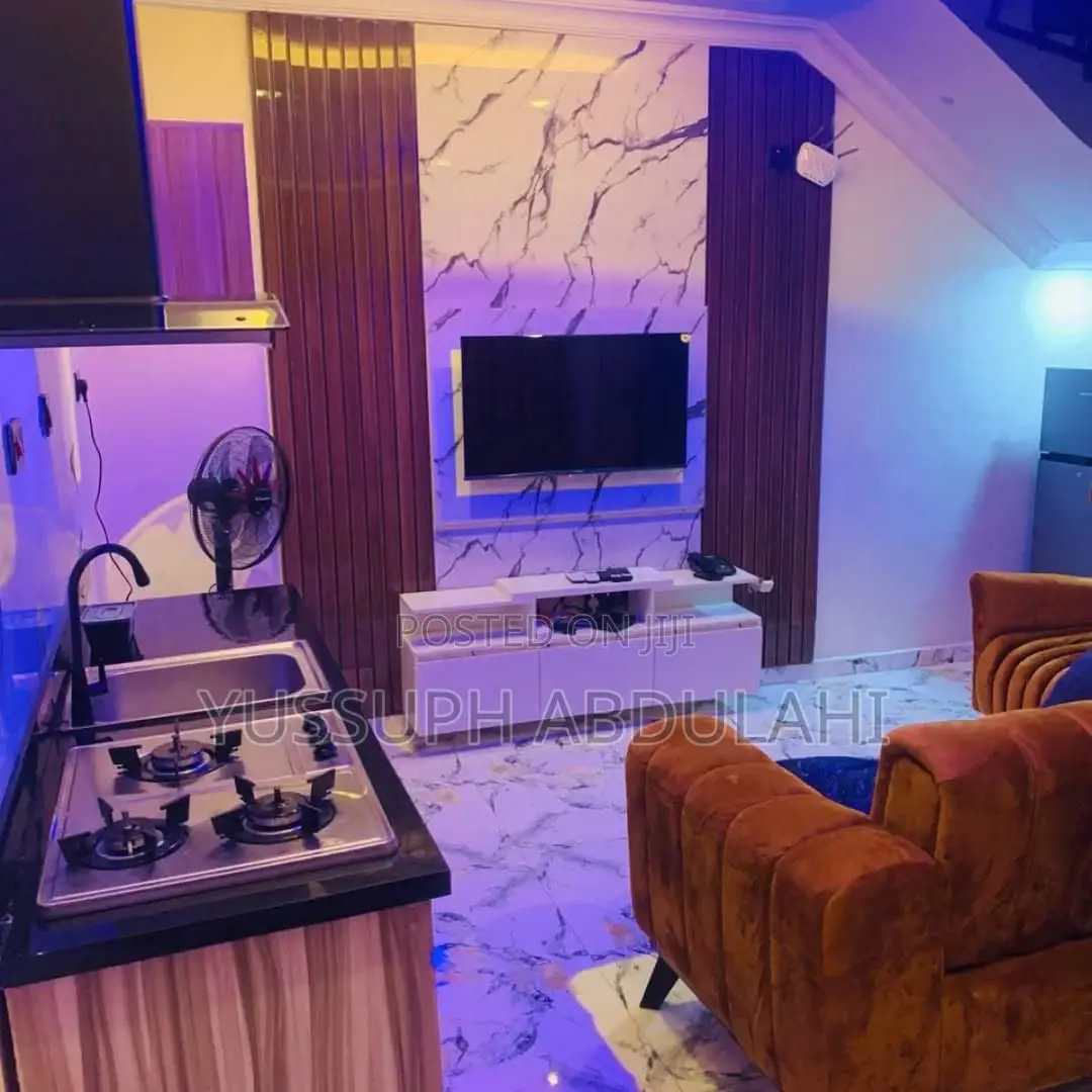 1 Bedroom Surulere in Adeniran Ogunsanya