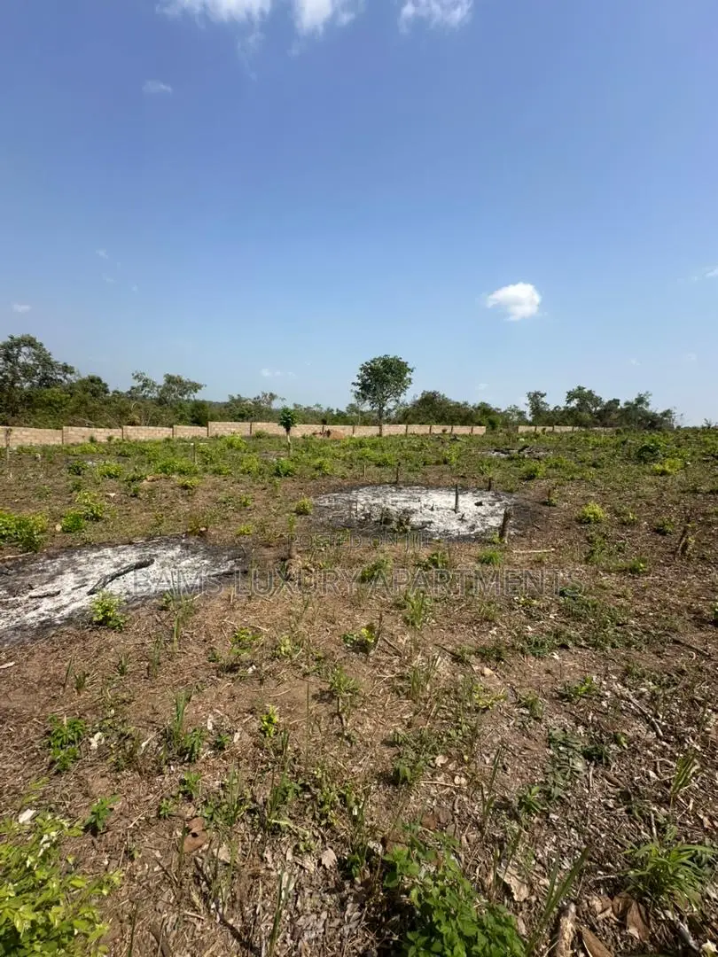 Farmland, Palm Estate for Investment With a Cofo in Abeokuta South