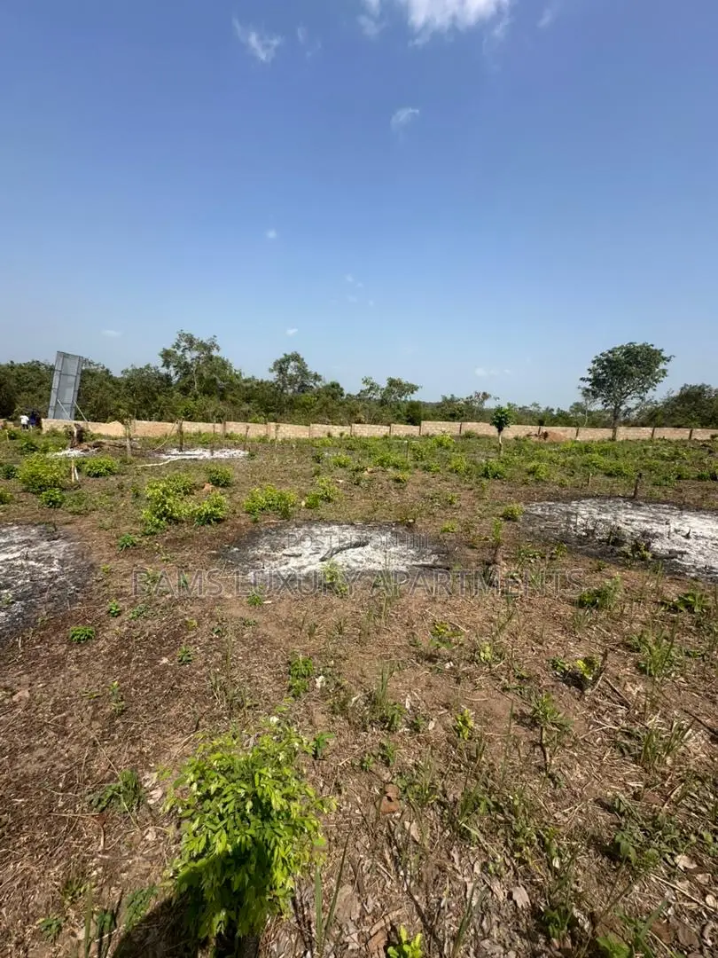 Farmland, Palm Estate for Investment With a Cofo in Abeokuta South