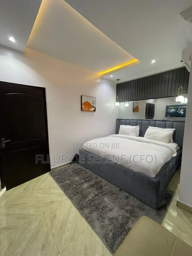 Service Apartment (One Bed) in Ikate