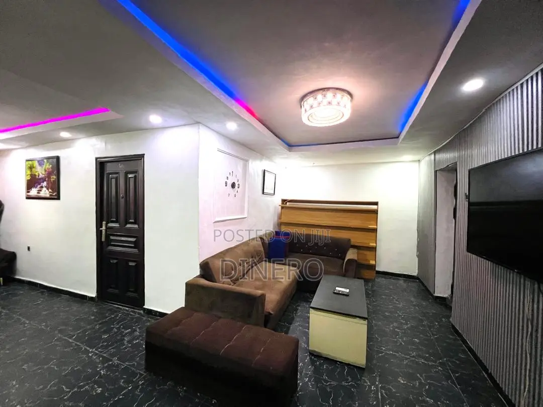 Dinero Emerald - One Bedroom Apartment in Surulere