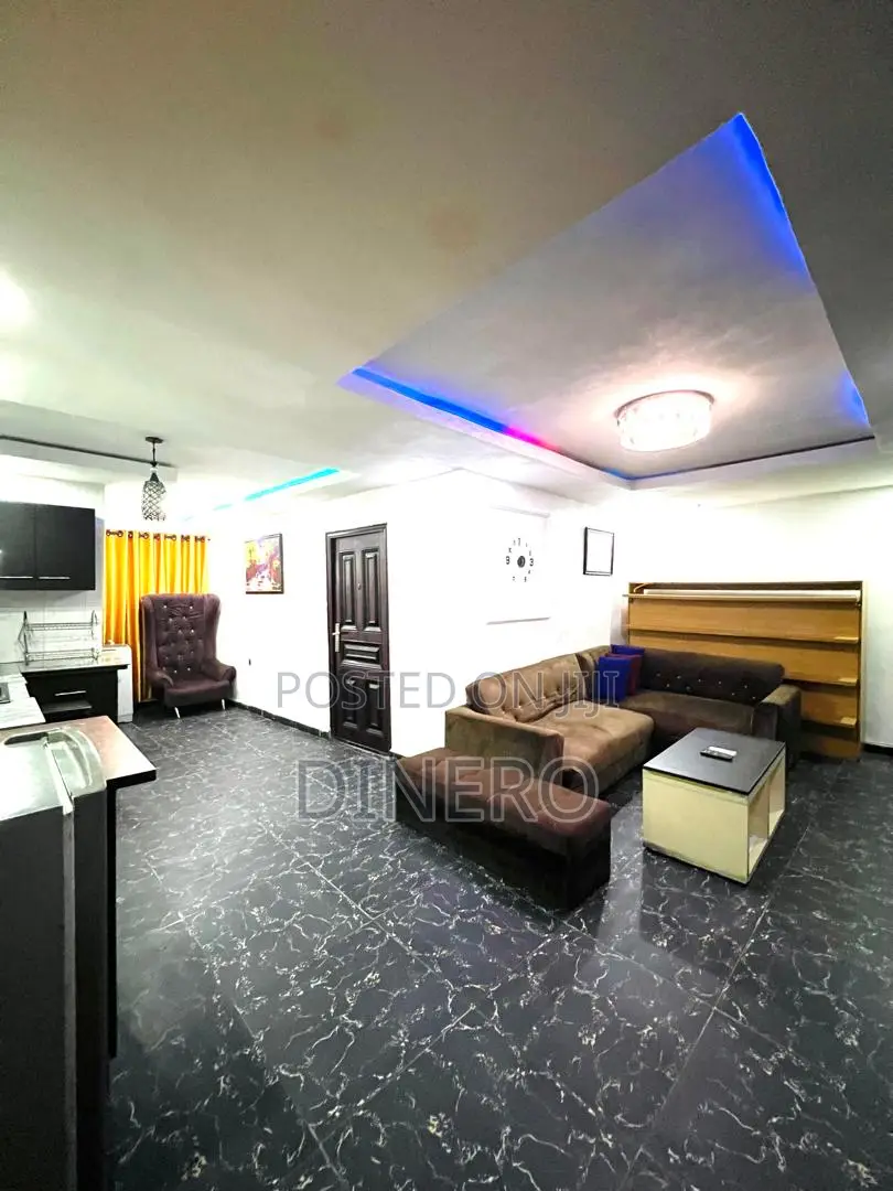 Dinero Emerald - One Bedroom Apartment in Surulere