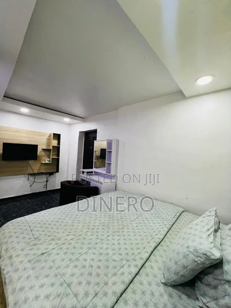 Dinero Emerald - One Bedroom Apartment in Surulere