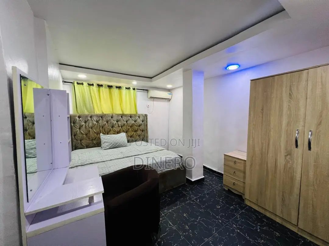 Dinero Emerald - One Bedroom Apartment in Surulere