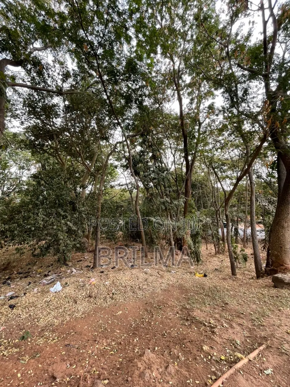 1.7 Hectares of Land in Maitama in Abuja (FCT)