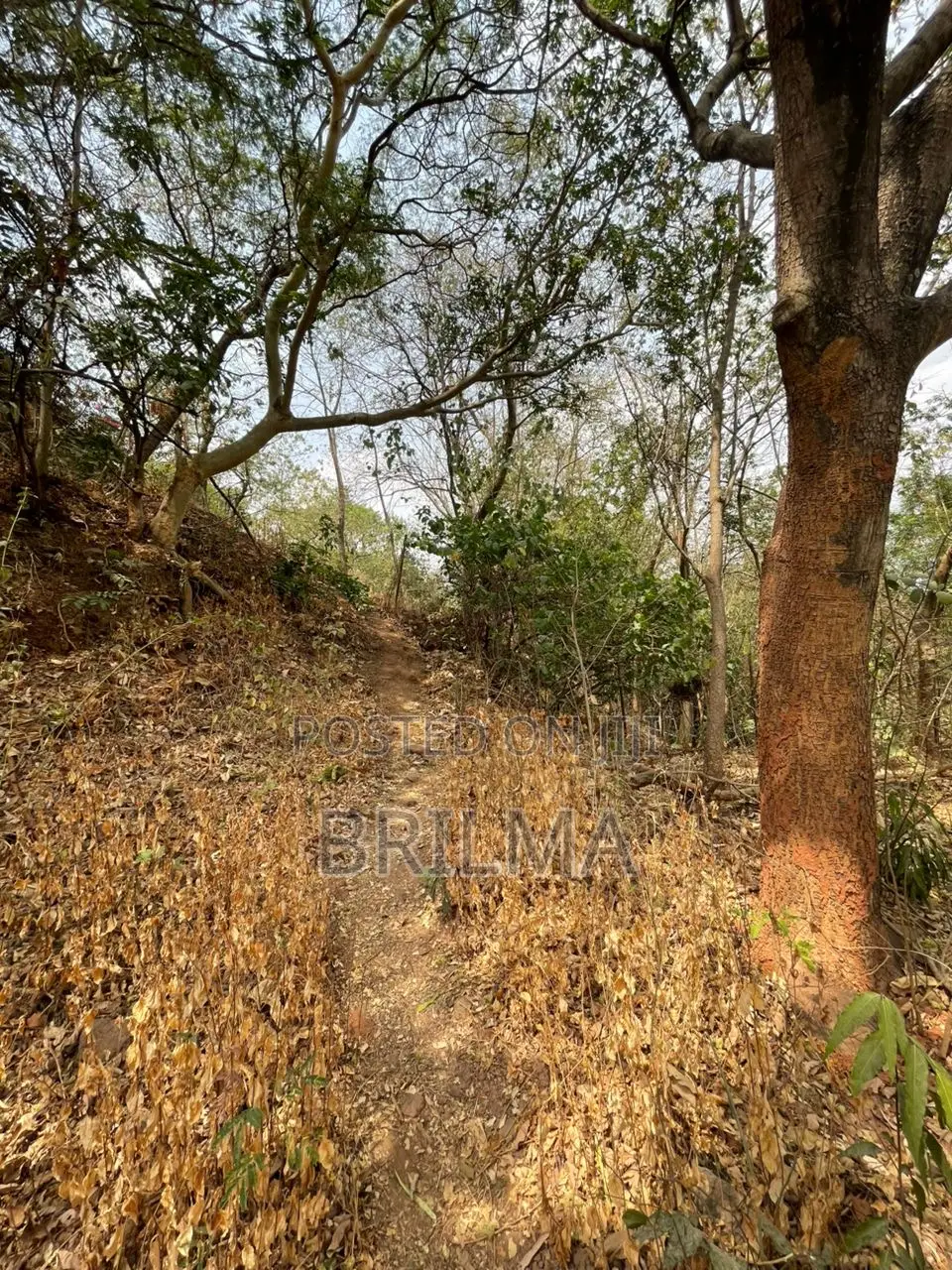 1.7 Hectares of Land in Maitama in Abuja (FCT)