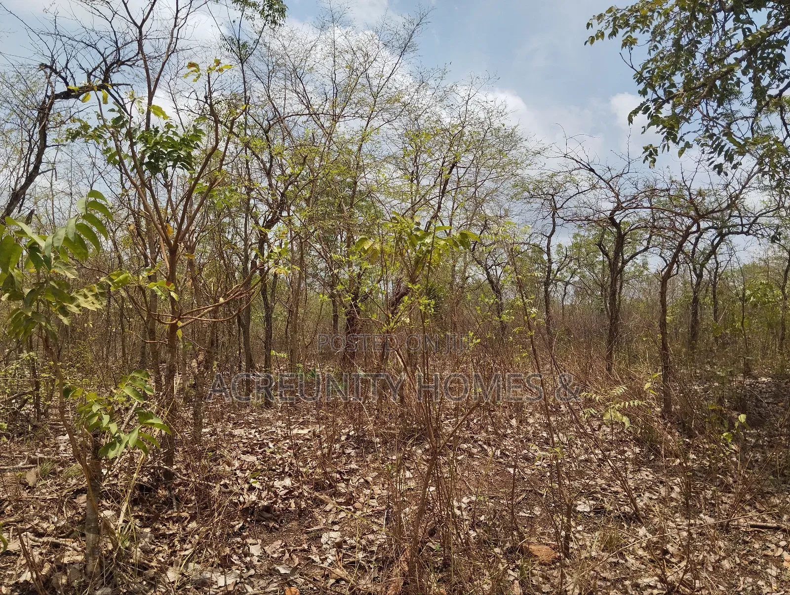 40 Acres Available for Sale at Alesinloye Village, Iseyin , Oyo State in Iseyin