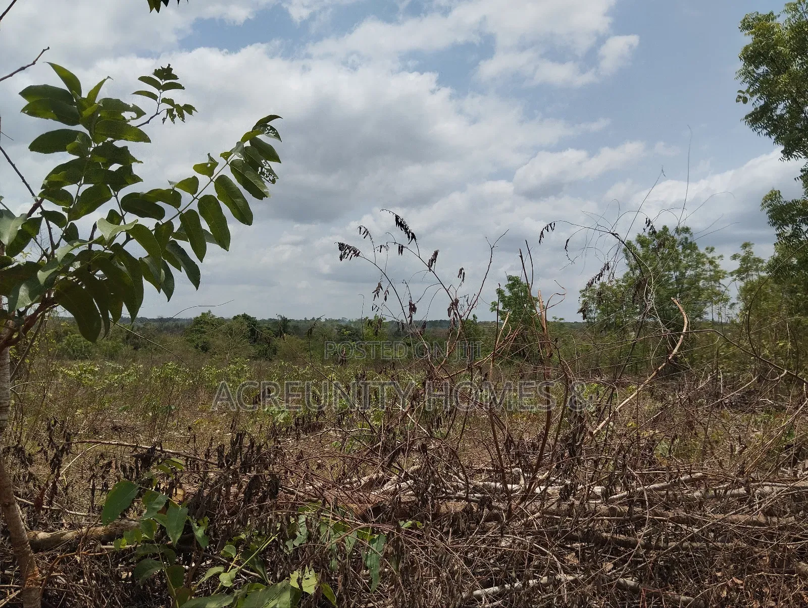 40 Acres Available for Sale at Alesinloye Village, Iseyin , Oyo State in Iseyin