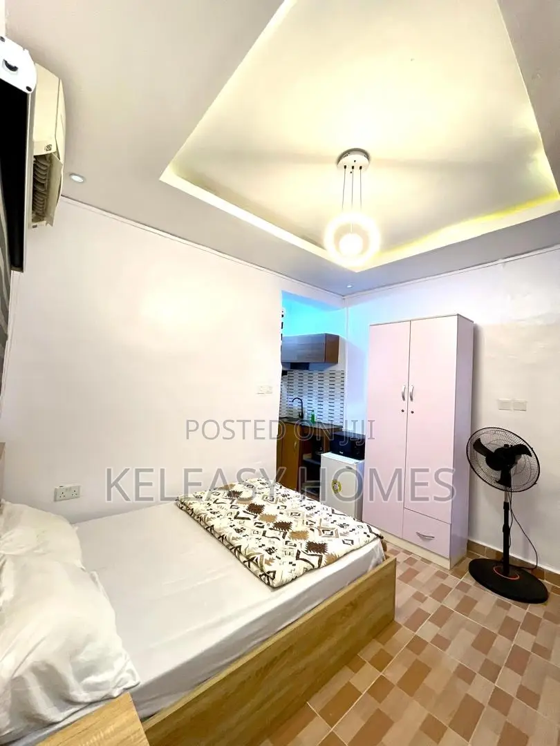 Cozy Studio Apartment in Akoka