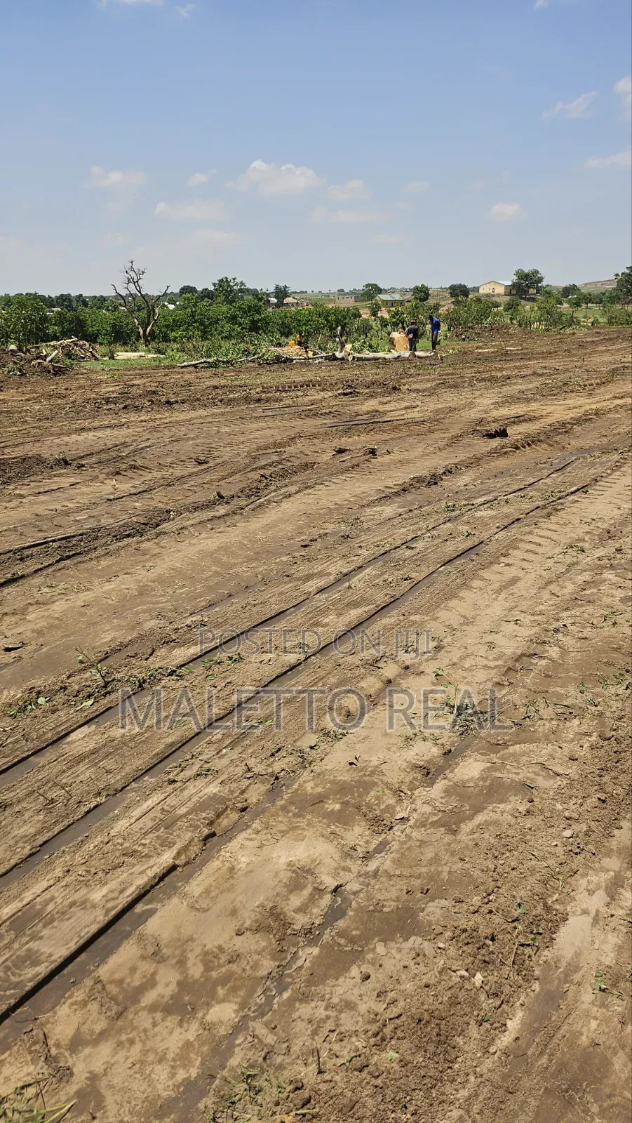 Apo- Waru Estate Plot in Wasa
