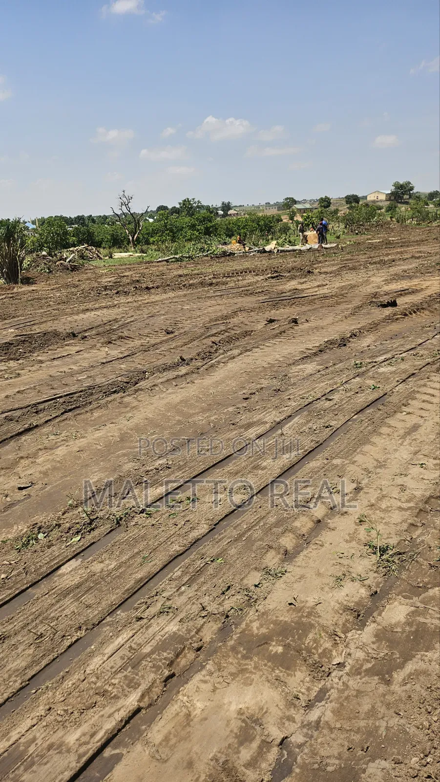 Apo- Waru Estate Plot in Wasa