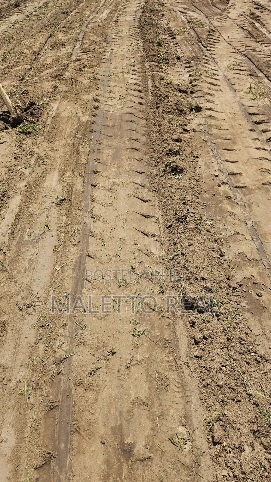 Apo- Waru Estate Plot in Wasa