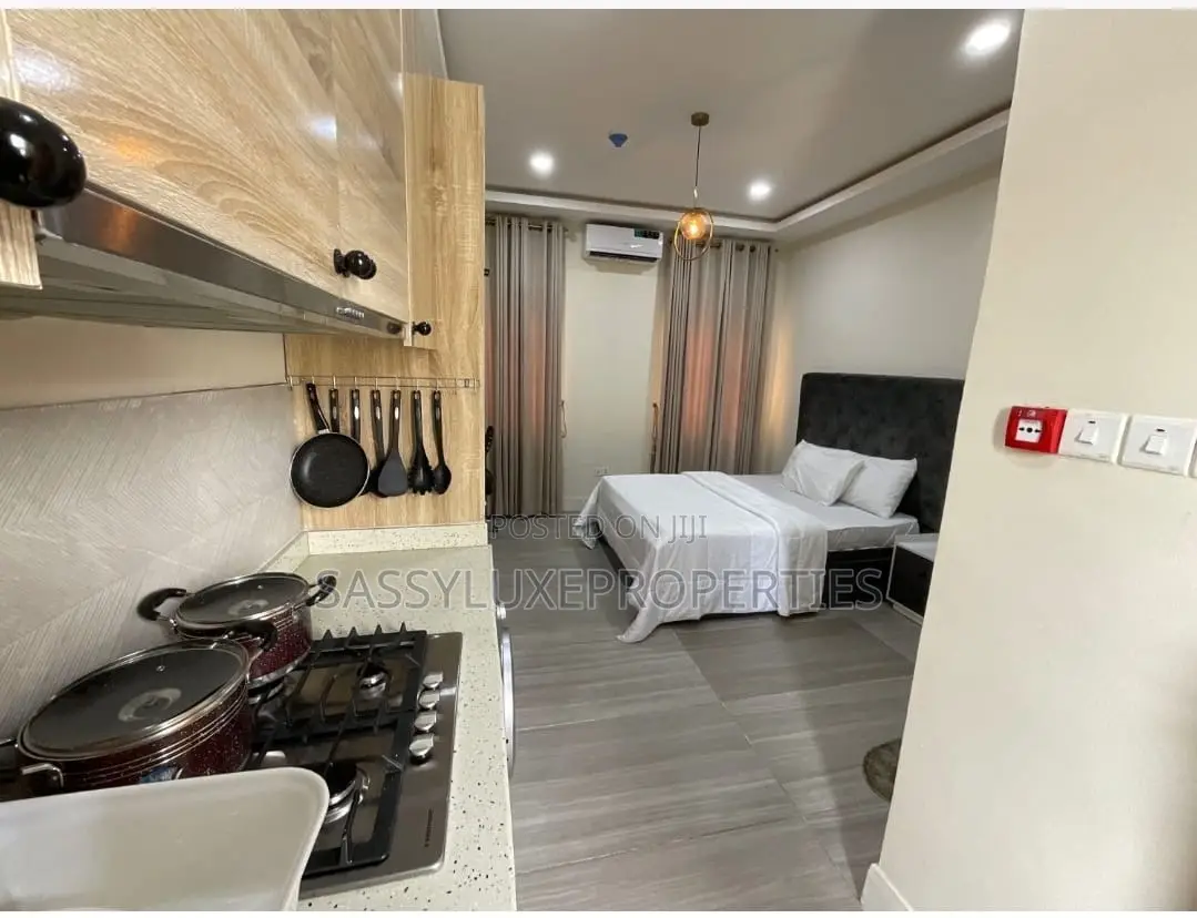 Studio Apartment in Ikota