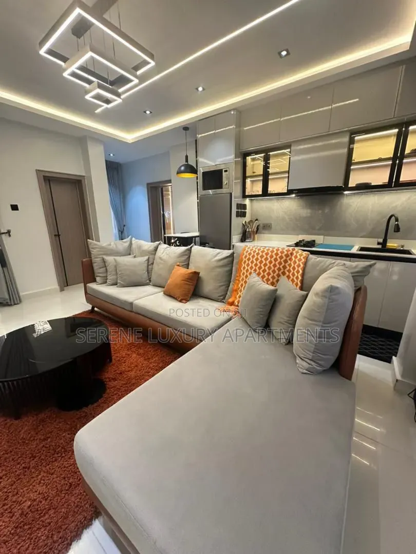 Newly Launched 1bedroom Apartment With Swimming Pool |Snooker Board in Adeola Odeku