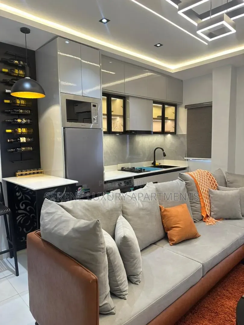 Newly Launched 1bedroom Apartment With Swimming Pool |Snooker Board in Adeola Odeku