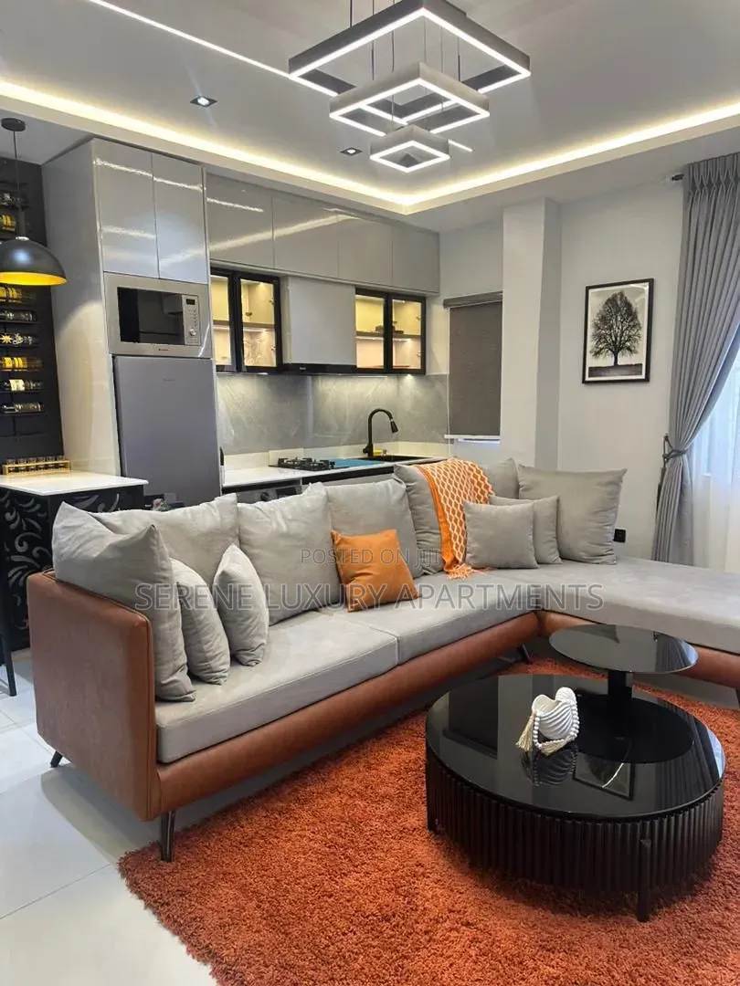 Newly Launched 1bedroom Apartment With Swimming Pool |Snooker Board in Adeola Odeku
