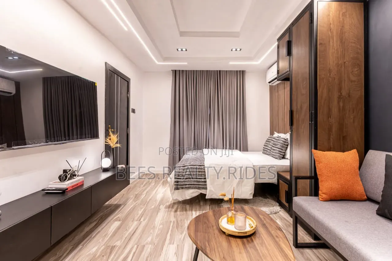 Deluxe Studio Apartment With a Work Station in Onike