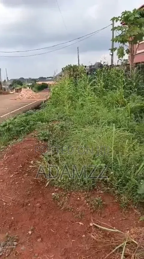 A Full Plot With C of O in Enugu