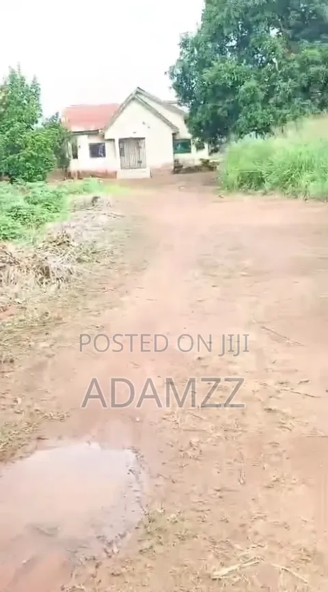 A Full Plot With C of O in Enugu
