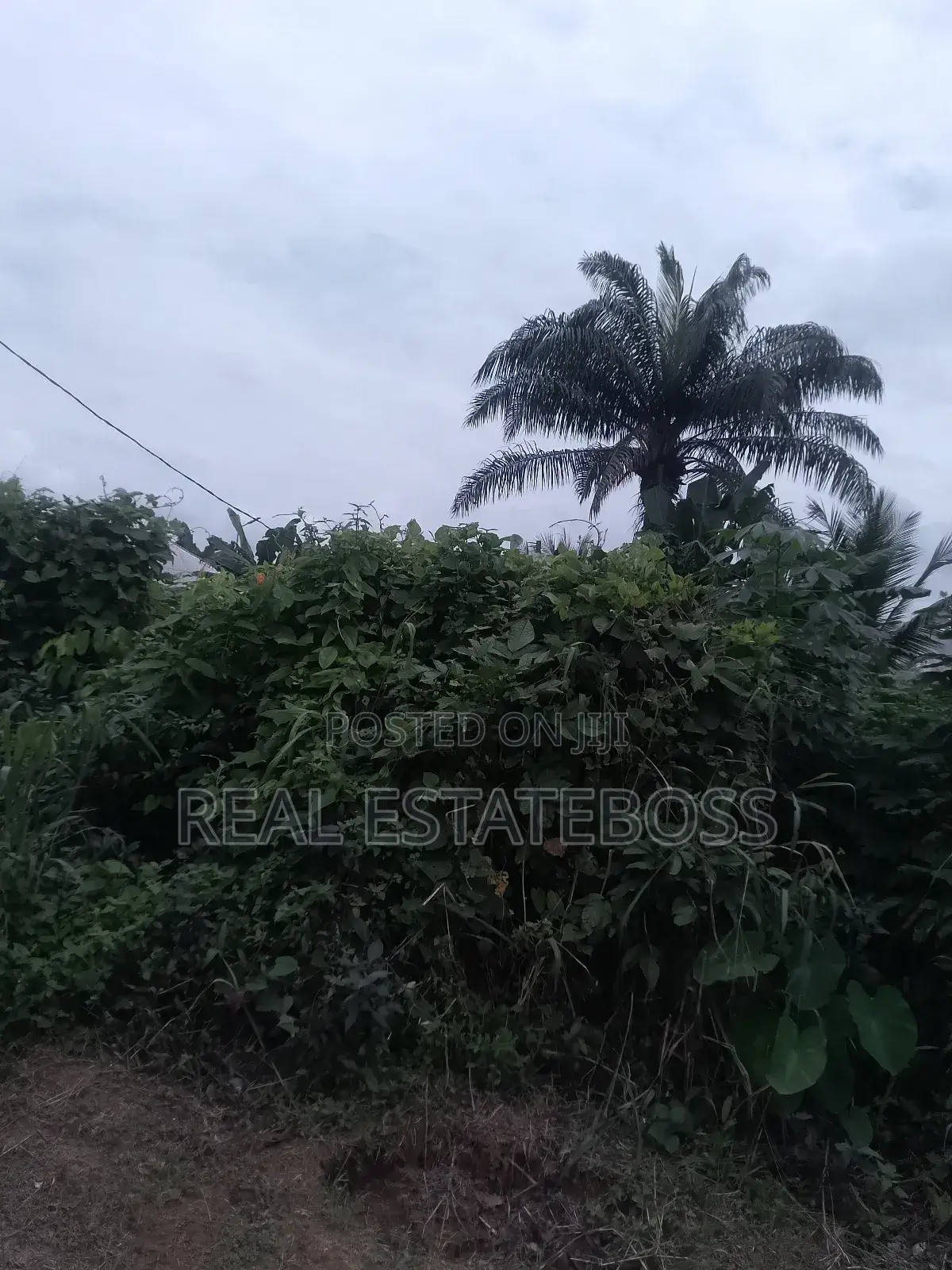 Sales an Lease in Uyo