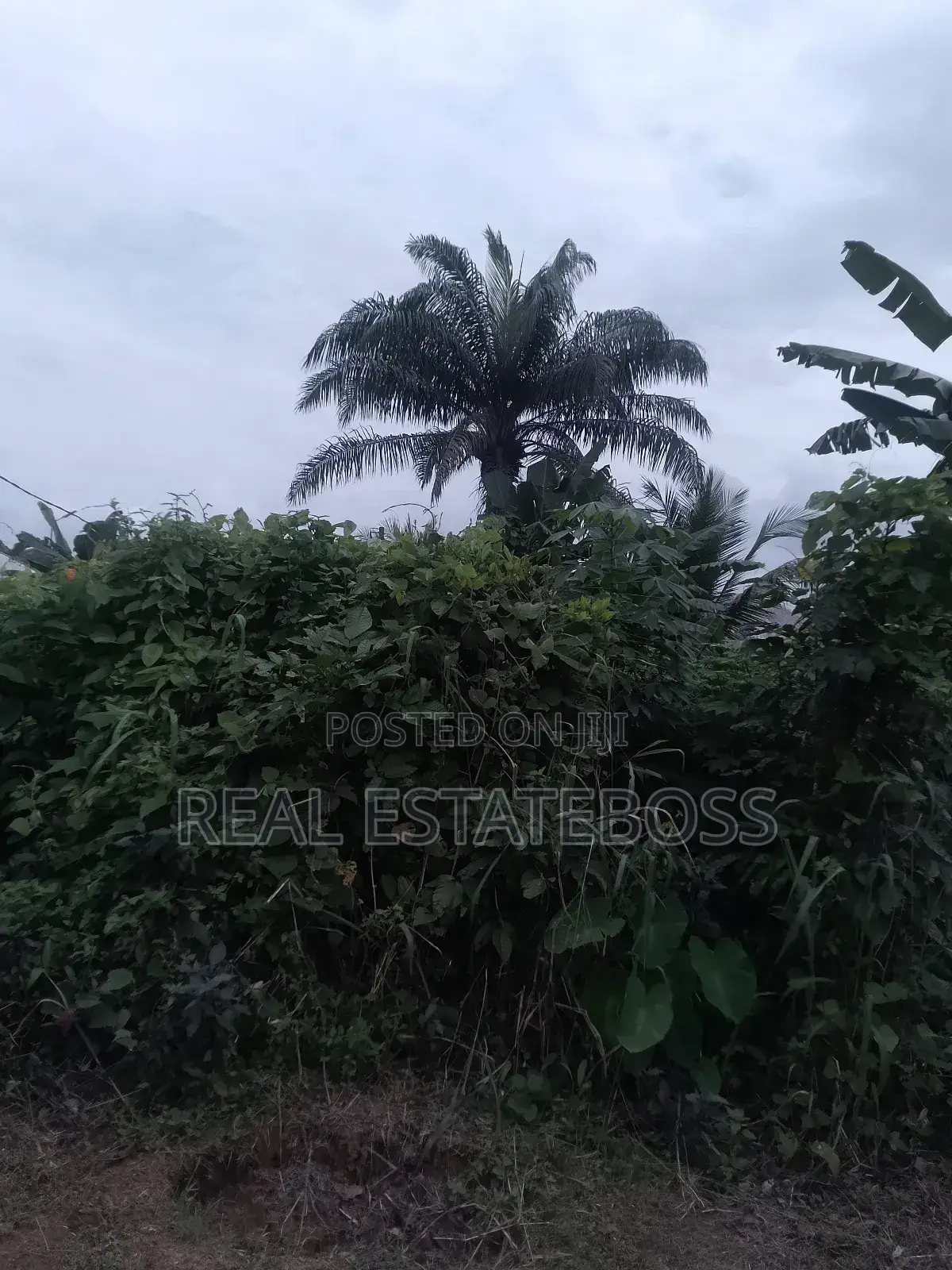 Sales an Lease in Uyo