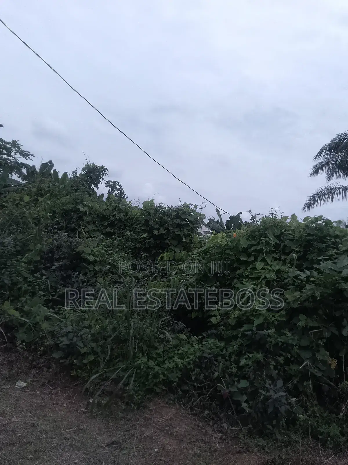 Sales an Lease in Uyo