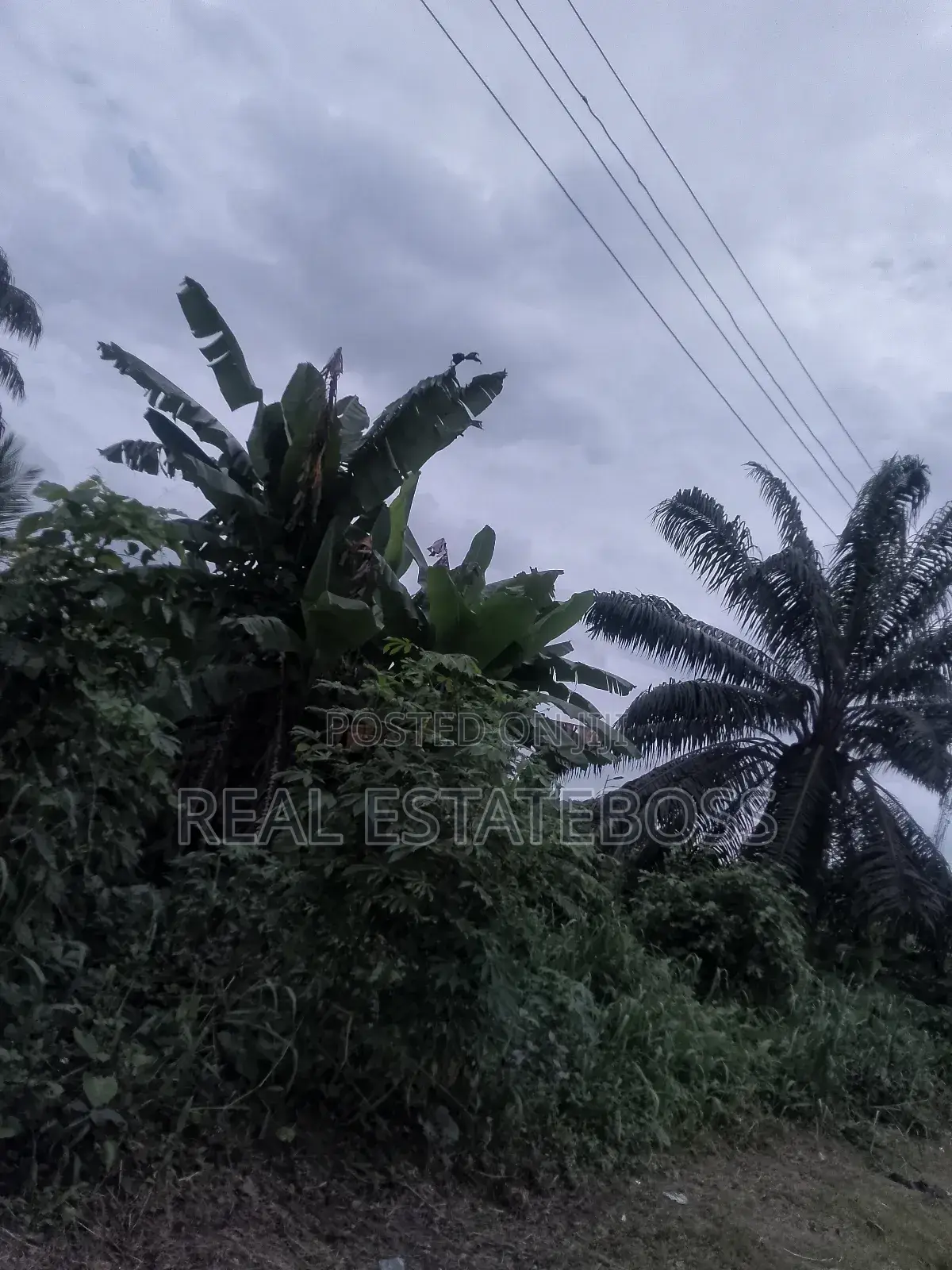 Sales an Lease in Uyo