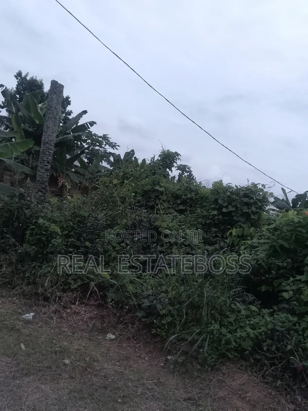 Sales an Lease in Uyo
