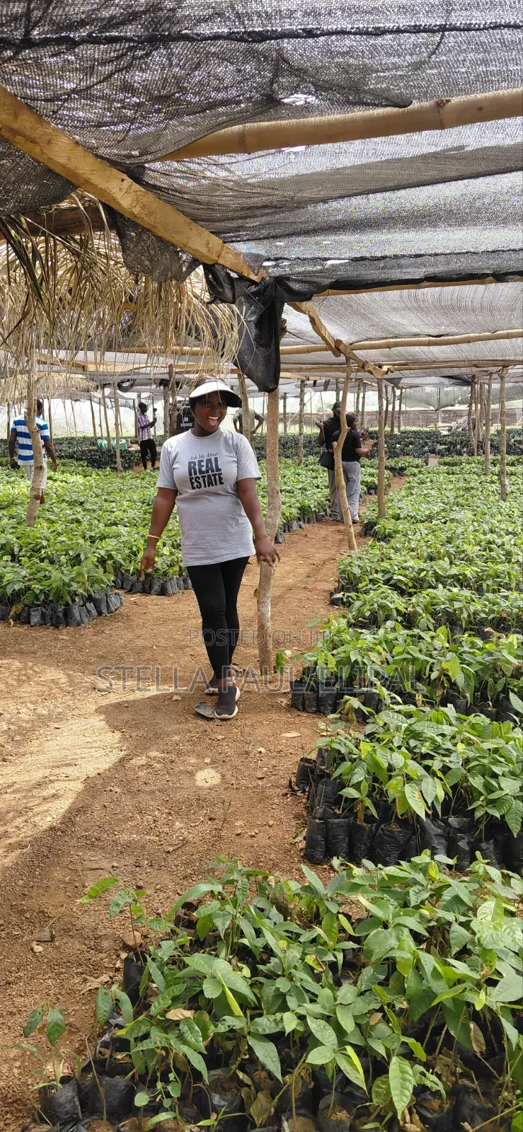 High ROI Agro Real Estate Investment | Farmland for Sale Nigeria in Ayetoro