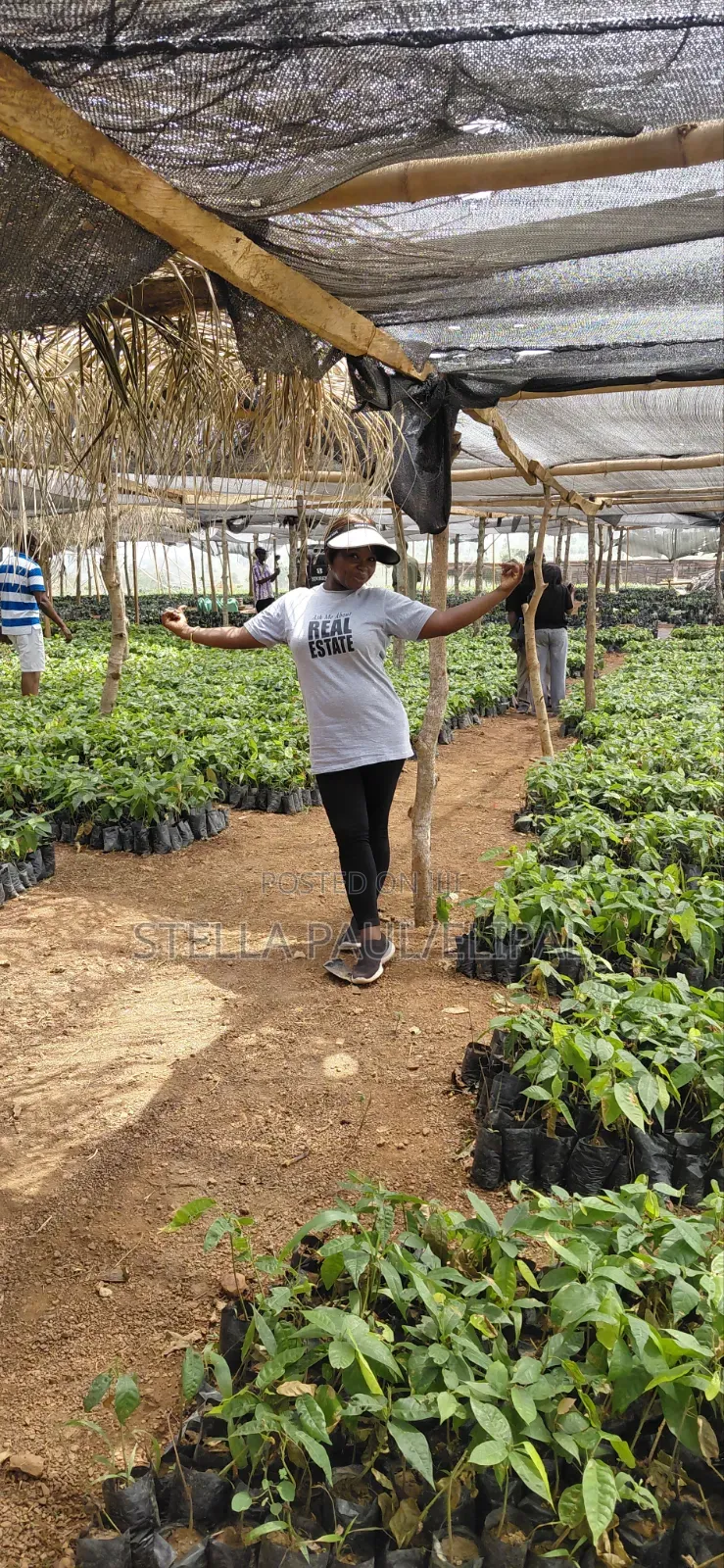 High ROI Agro Real Estate Investment | Farmland for Sale Nigeria in Ayetoro