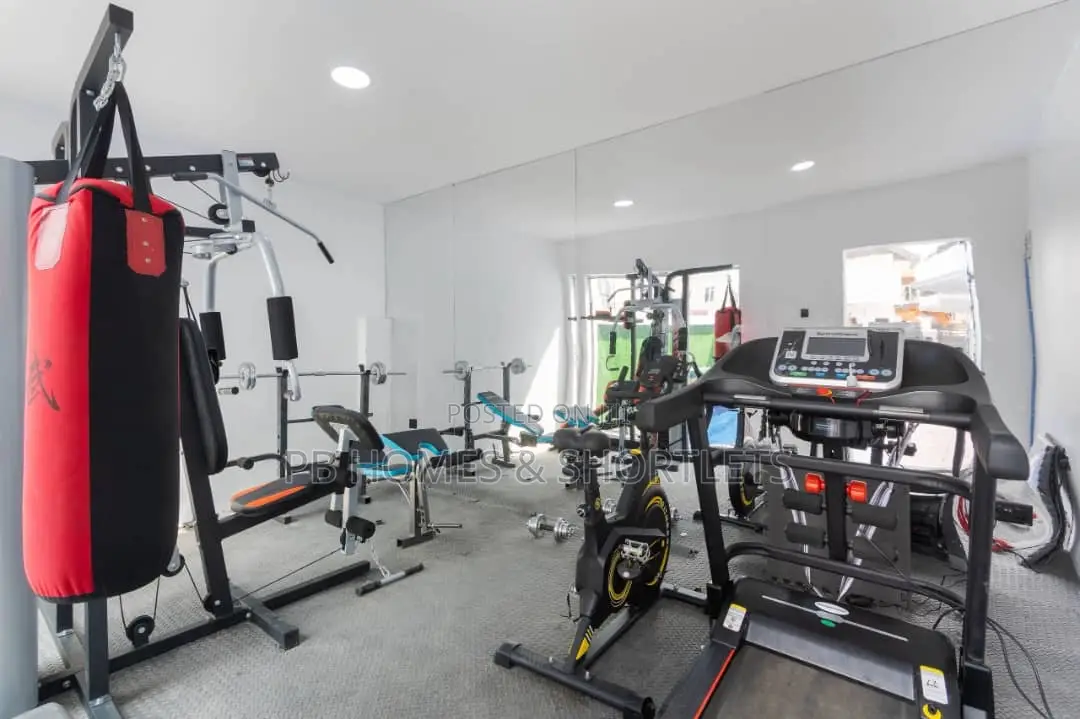 Magnificently Furnished Studio Apartment in Osapa london