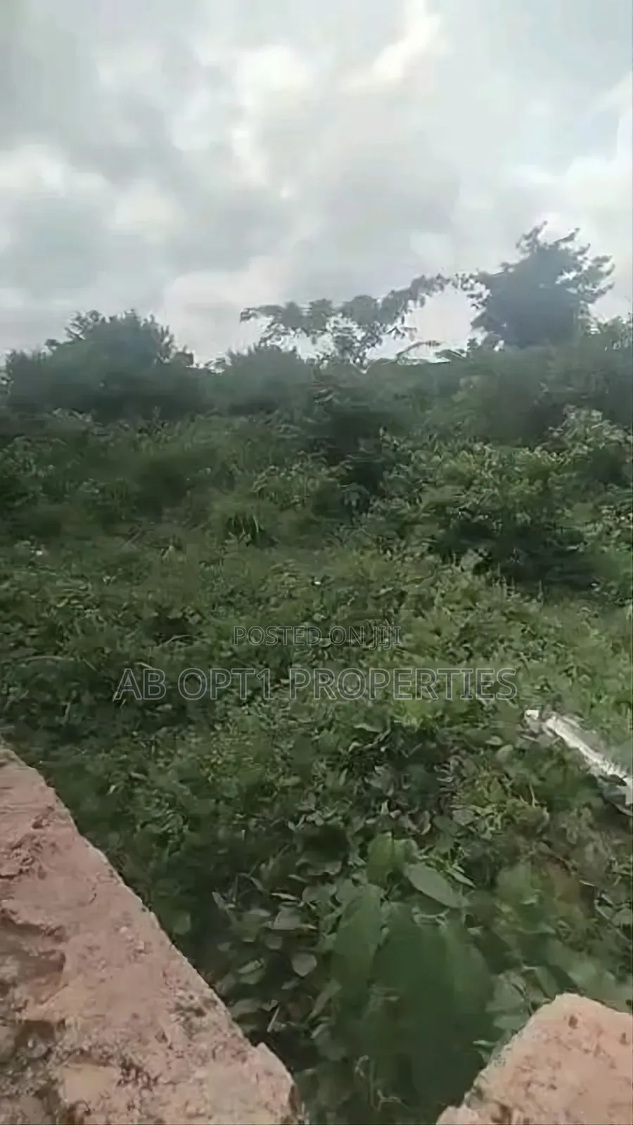 100ft by 100ft Land at Fanalu Road, Off Country Home for Sale in Benin City