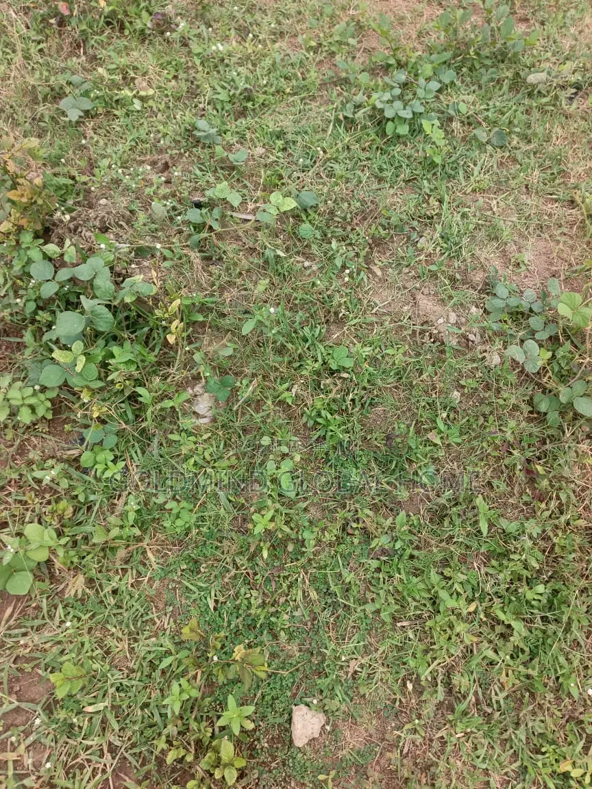 1500sqm. Fence and Gated Residential Land for Sale in Mabushi. in Mabushi
