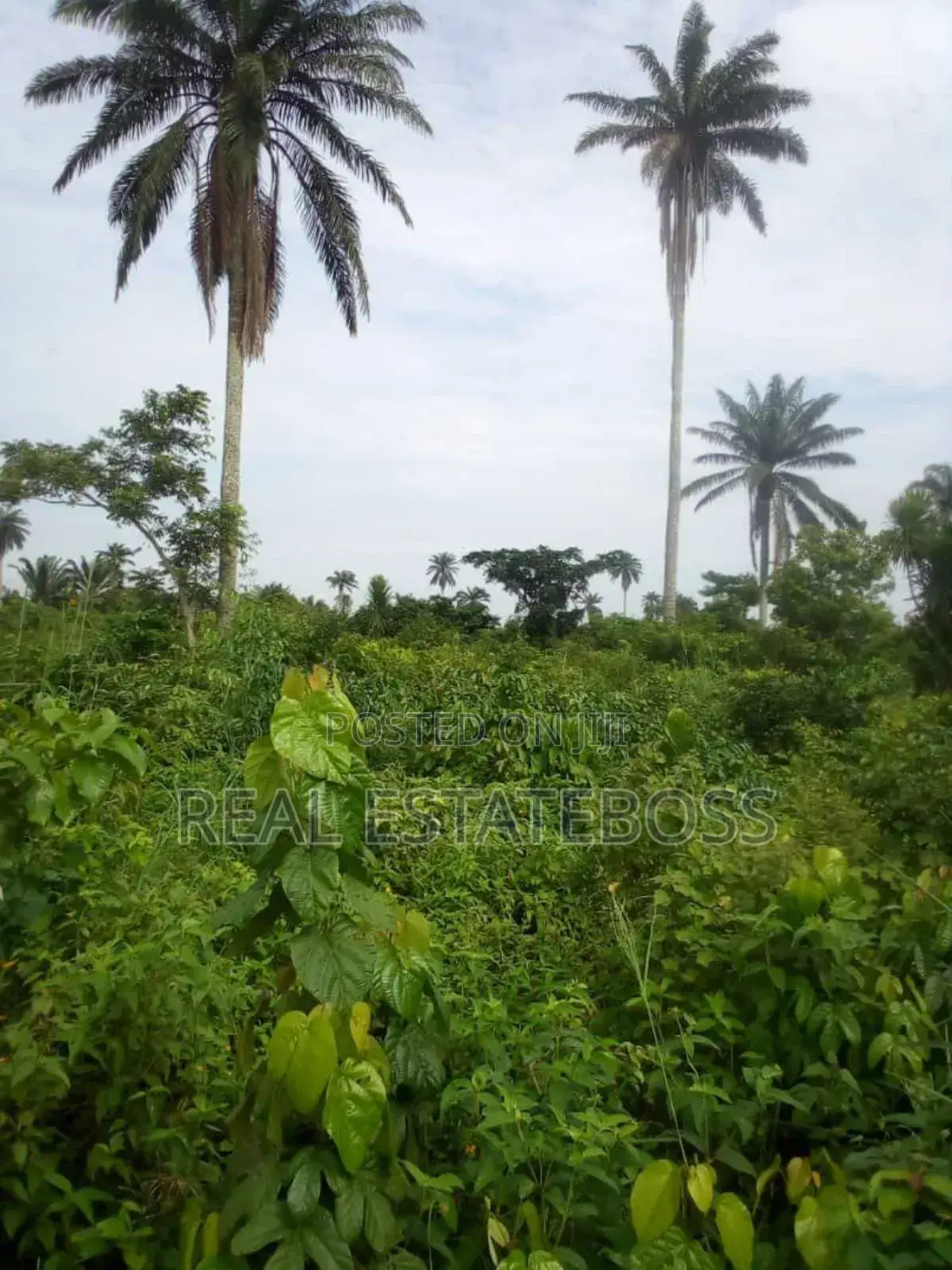 Land Sales in Uyo