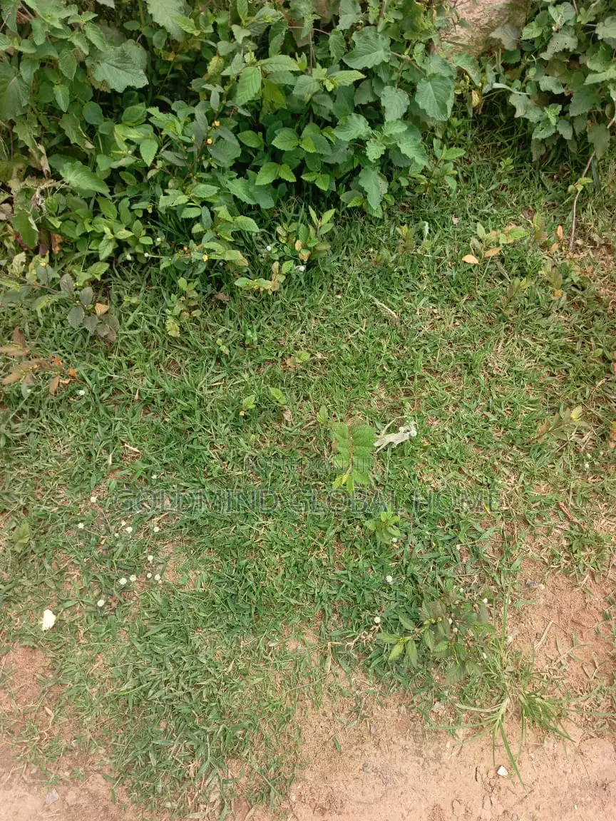 1.2 Heacters of Land in Gwagwalada for Sale. Abuja – Nigeria in Kutunku