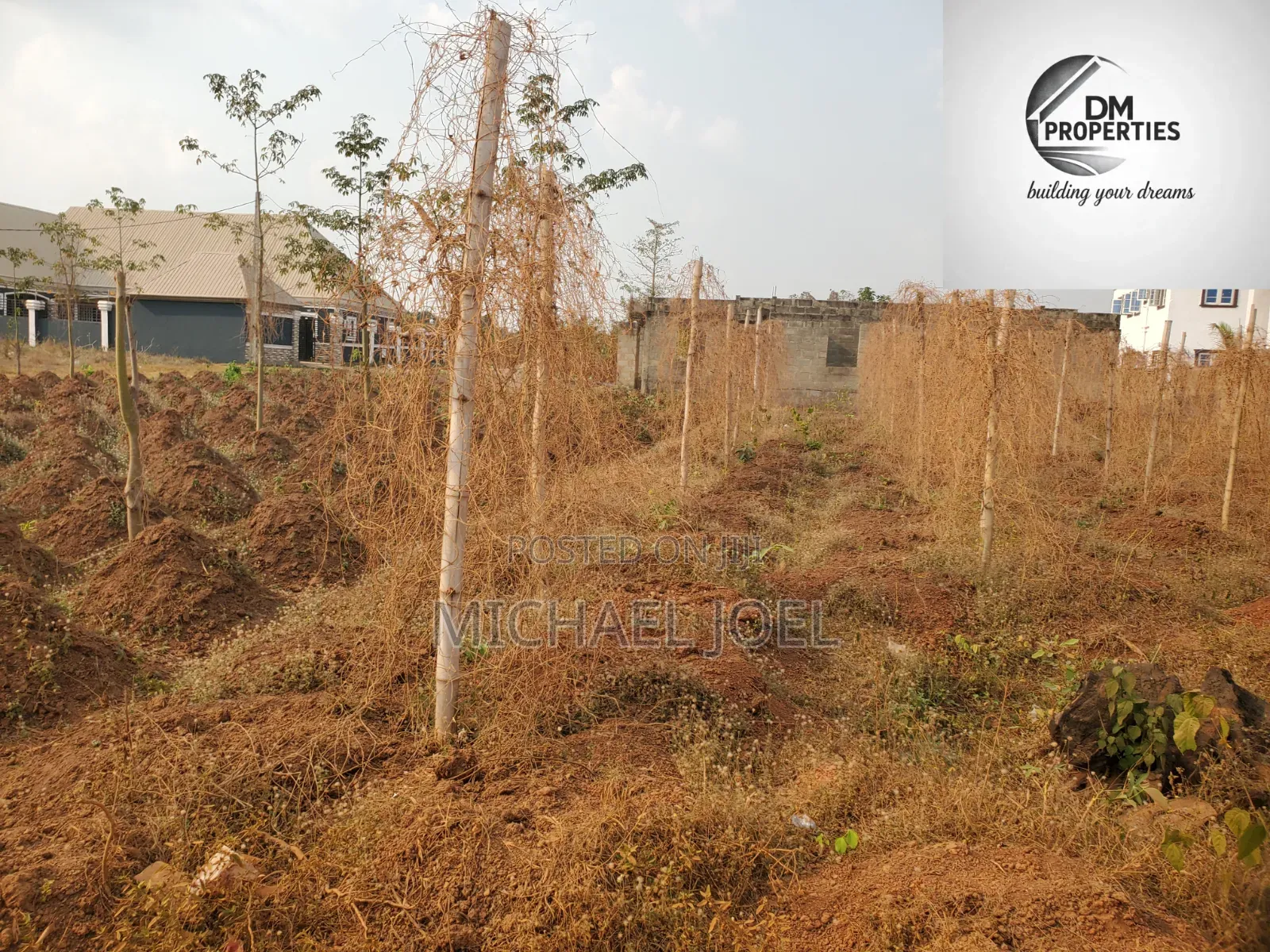Land Measuring 100 by 100 in Auchi