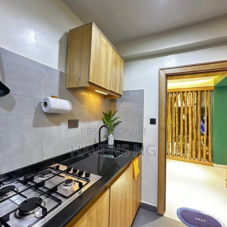 Beautiful 2-Bedroom Apartment for Short Let in Wuse 2