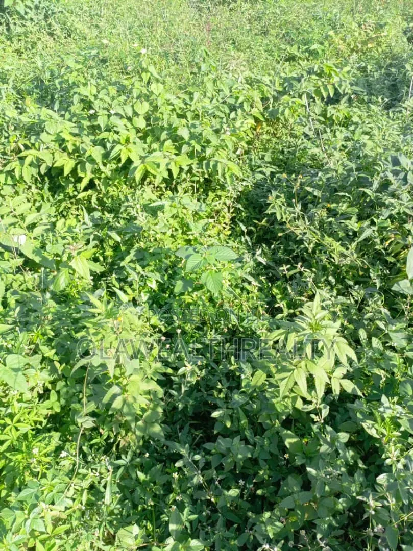 2,400sqm Commercial Land at AGODI GRA in Iyanganku