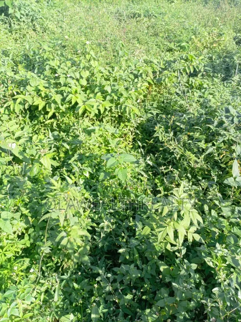 2,400sqm Commercial Land at AGODI GRA in Iyanganku