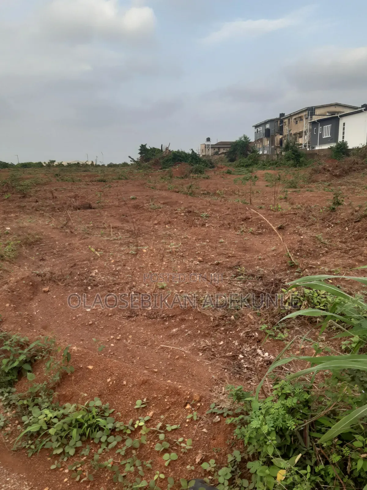 Fully Developed Gra in Akobo