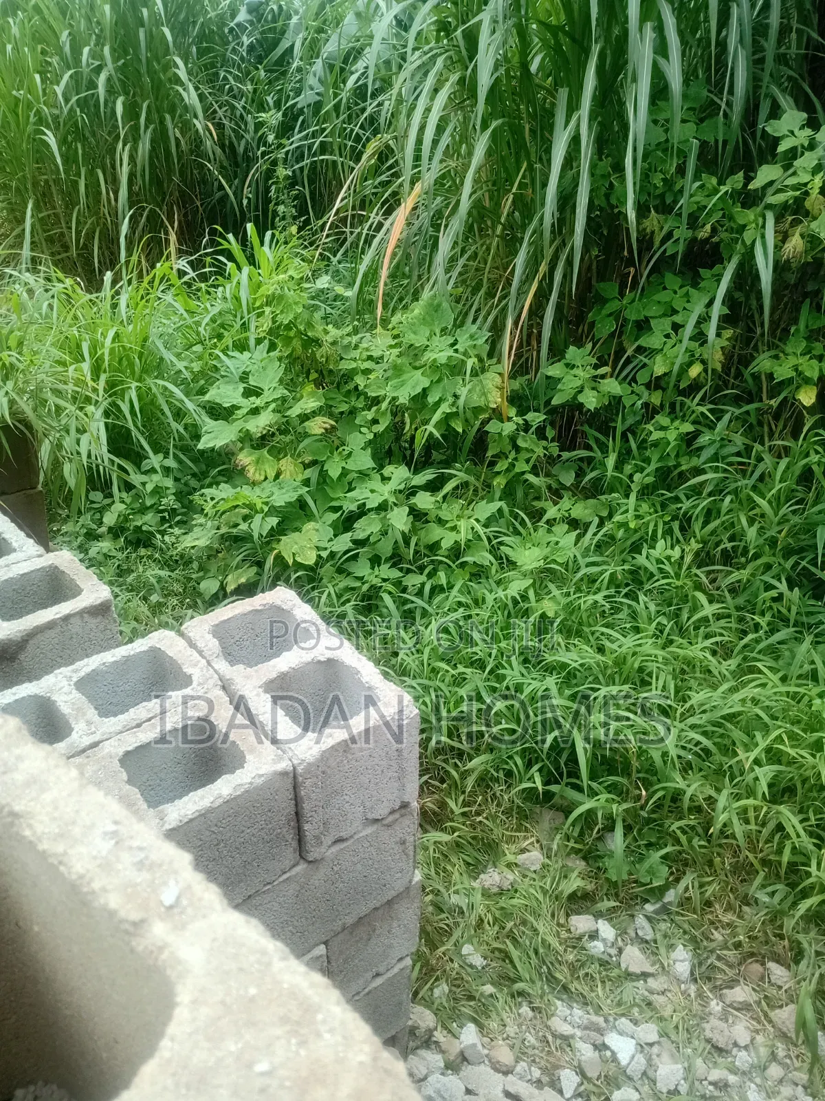 Plot of Land at Awolowo Bodija in Ibadan