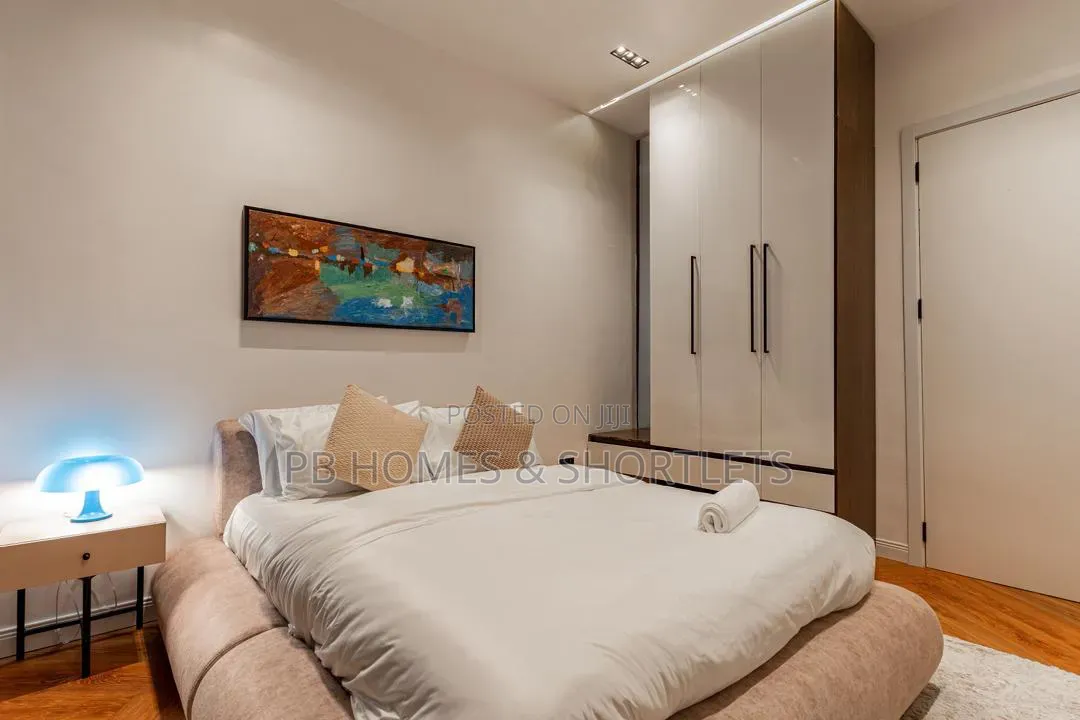 STAINLESS Luxury 2 Bedroom Apartment With Swimming Pool and Elevator in Victoria Island Extension