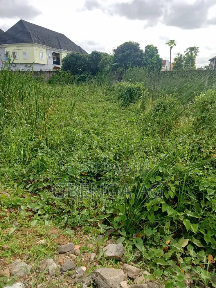 2 Plots of Land Available for JV at Arowojobe Estate Maryland Lagos in Mende
