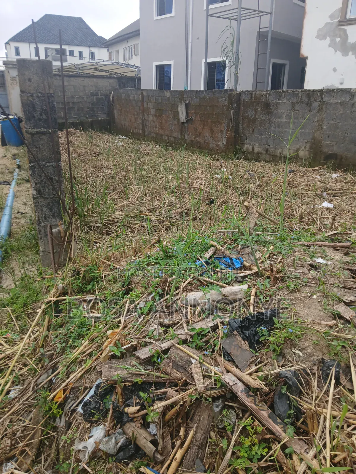 Super Dry Quarter Plot of Land in Badore