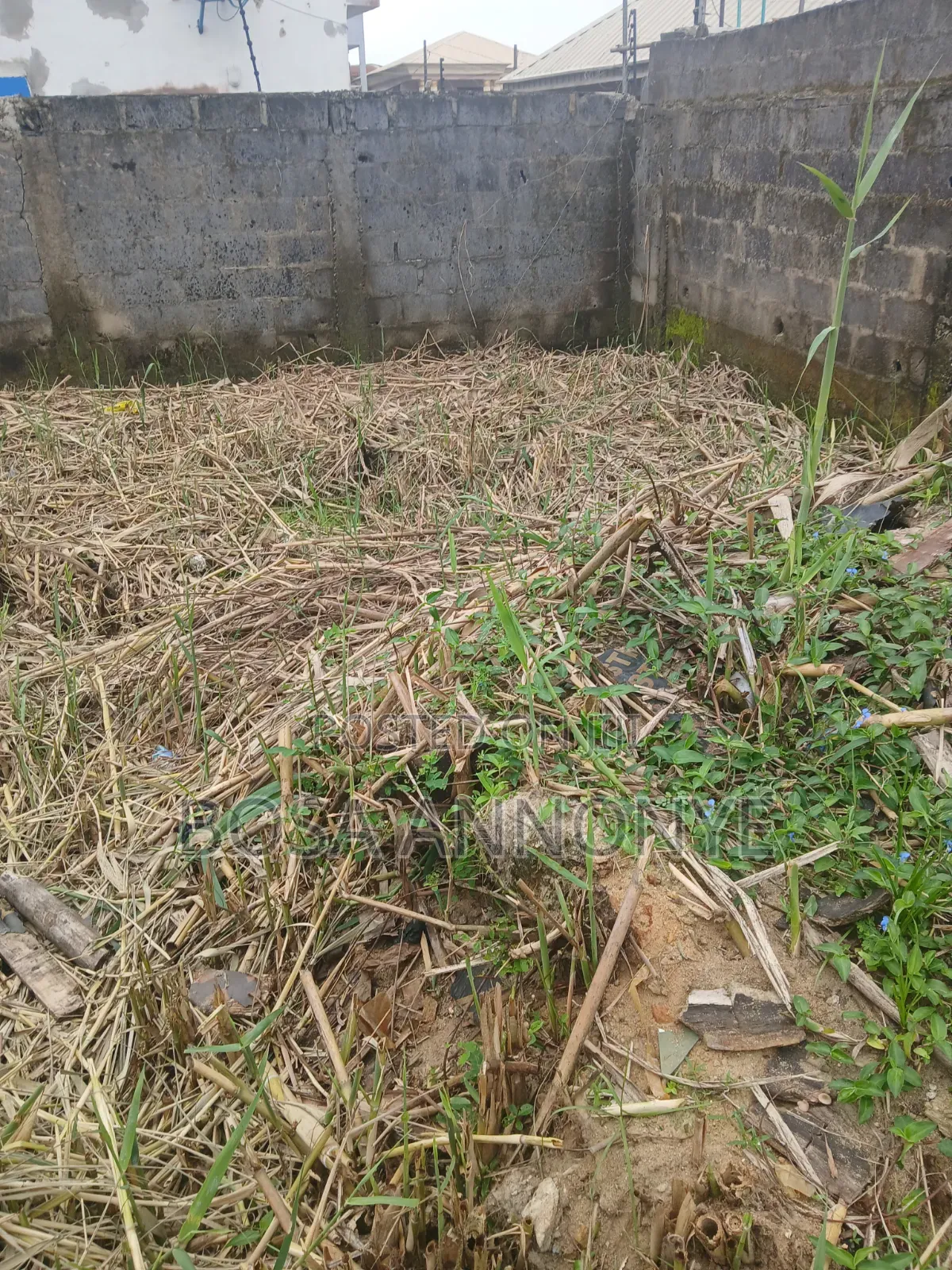 Super Dry Quarter Plot of Land in Badore