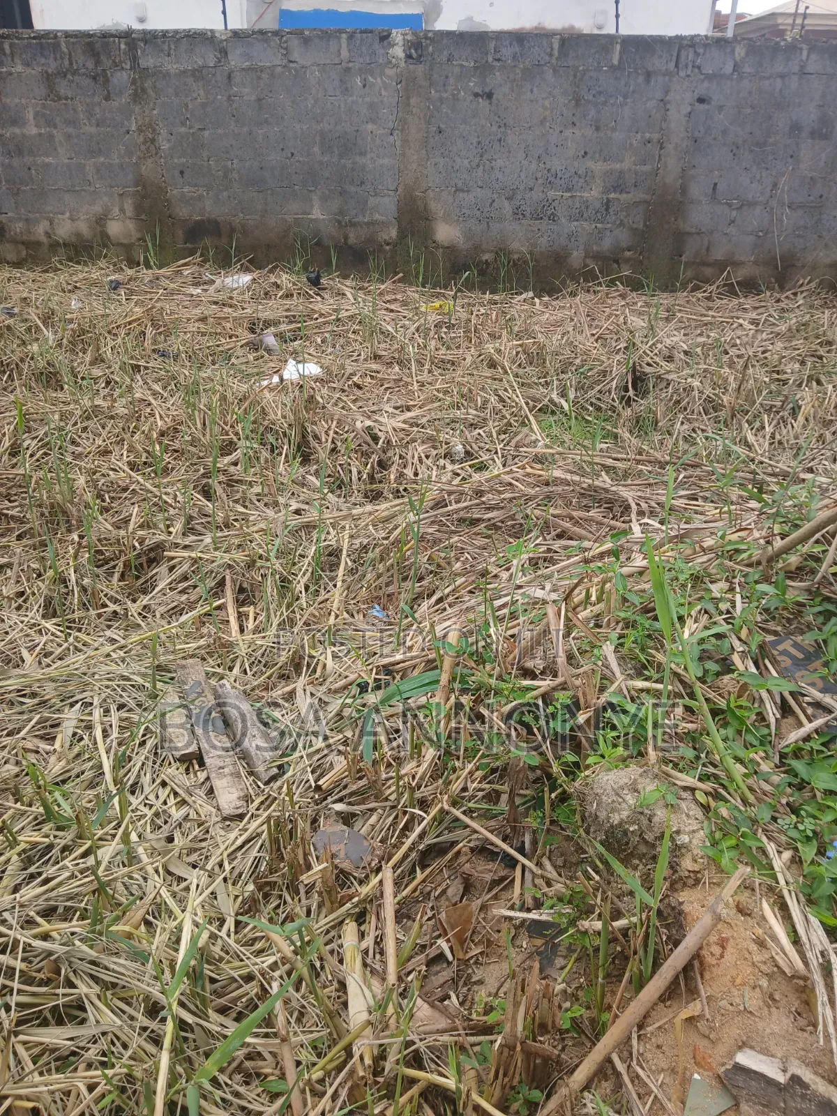 Super Dry Quarter Plot of Land in Badore