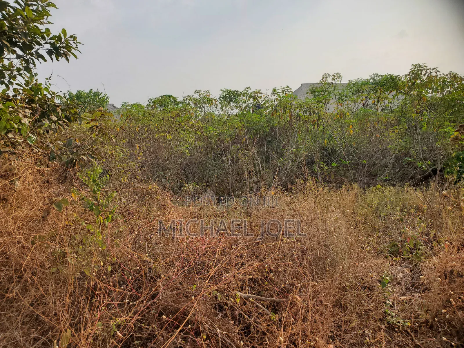 Land Measuring 100ft by 50 Ft Along Old Road Aviele Auchi in Auchi