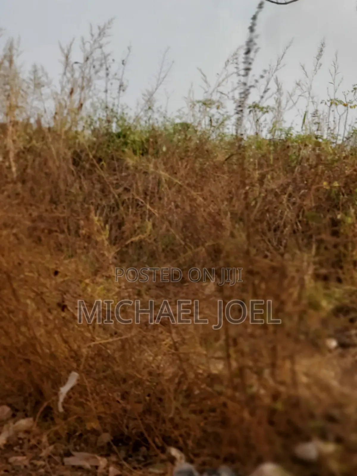 Land Measuring 100ft by 50 Ft Along Old Road Aviele Auchi in Auchi